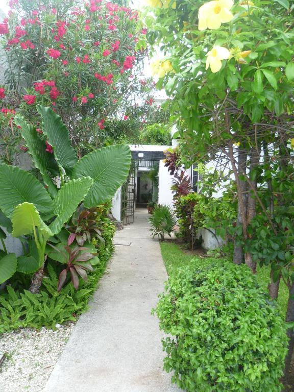 Hostal Haina Канкун Экстерьер фото